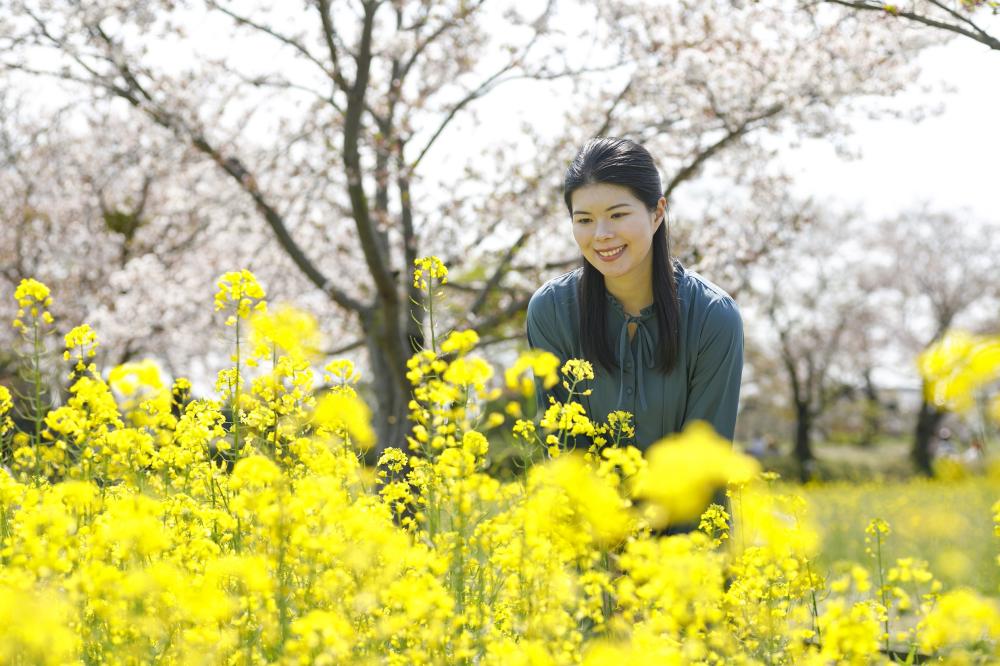 橿原の四季を彩る花名所