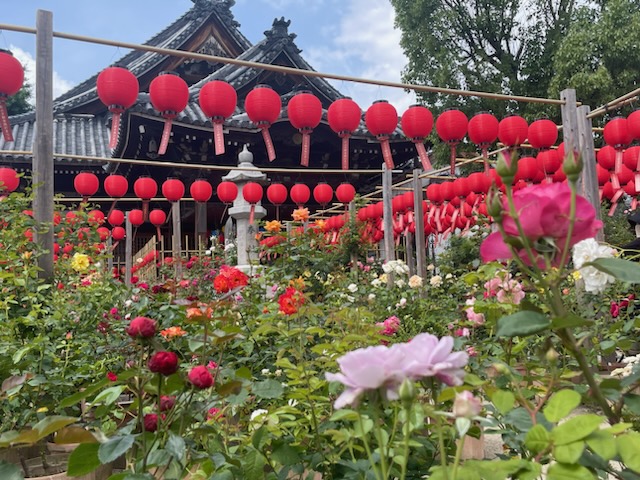世界遺産 藤原の宮都と花のお寺を巡る
